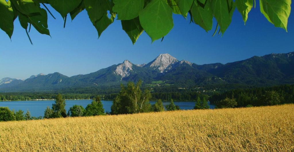 Hotel-Pension Melcher โดรโบลัค อัม ฟาเคอร์เซ ภายนอก รูปภาพ